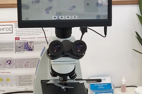 MICROSCOPIC EXAMINATION